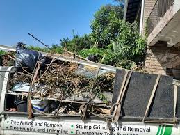 Shed Removal in Bunker Hill, OR